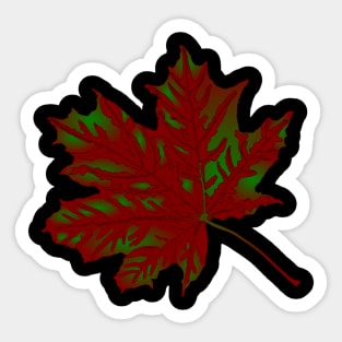 Maple leaf Sticker